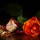Life and Death